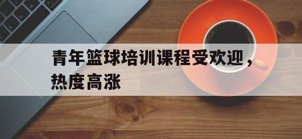 金宝体育官网-青年篮球培训课程受欢迎，热度高涨