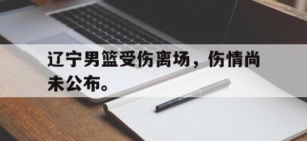 金宝体育官网-辽宁男篮受伤离场，伤情尚未公布。